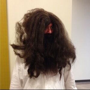 Unisex costume wig and beard